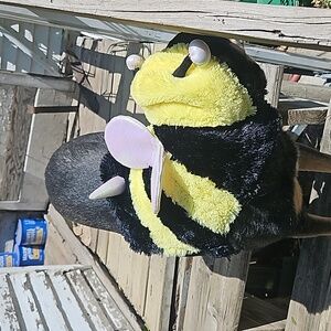 Molly , Wearing the Doggie Collection